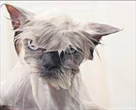 Yağmurda sevgili ile el ele yürümek