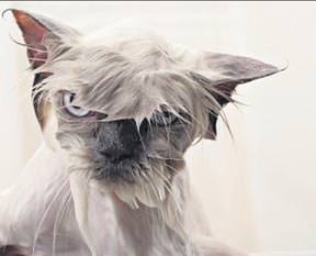 Yağmurda sevgili ile el ele yürümek