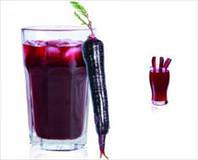 Gribe karşı şalgam