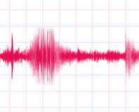 Rusya’da korkutan deprem