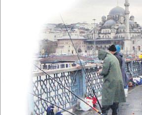 Tarımda tarihi rekor