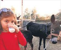 Gençlik iksiri eşek sütü