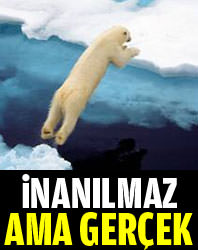 Bu bilgiler inanılmaz ama gerçek!