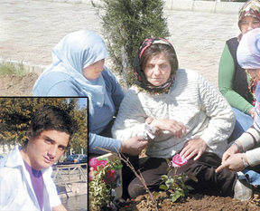 Onları gördükçe televizyonu yumrukluyor