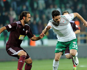 Timsah rahat turladı