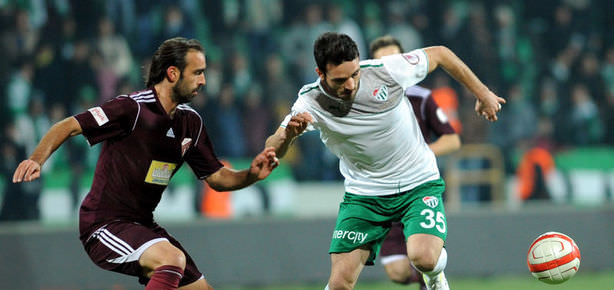 Timsah rahat turladı