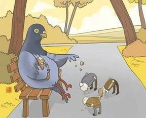 Bu çizimlerden ne anladınız?