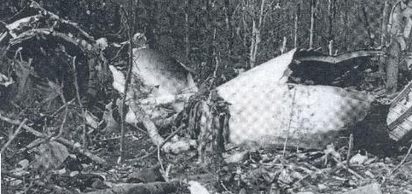 Türk Hava Yolları’nın Trabzon adlı uçağı Samsun-Ankara seferini yaparken yoğun sis nedeniyle düştü; 39 kişi öldü