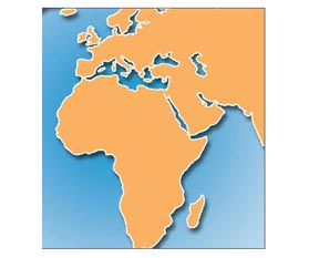 ABD'den beddua 37 ülkeden dua