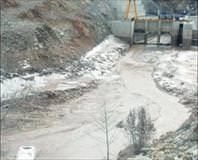 Buz ve sis faciası: 12 ölü