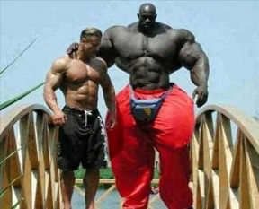 Görenler gözlerine inanamıyor