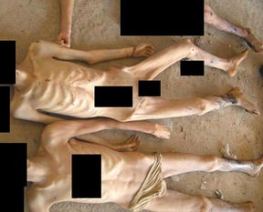 Dünyayı ayağa kaldıracak görüntüler (+18)