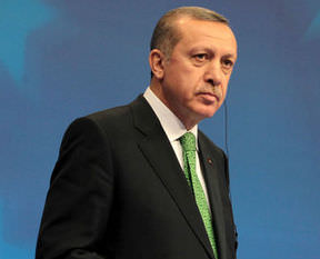 Türkiye’de ananas devleti kurdurmayız