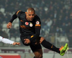 Aslan ağır yaralı