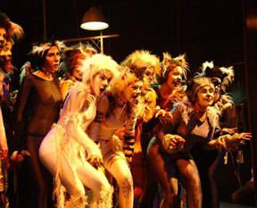 CATS müzikali Türkiye'de