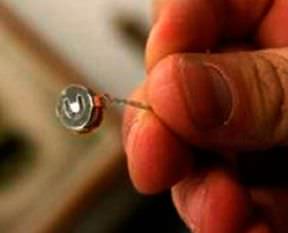 Böcek soruşturmasında kritik gelişme