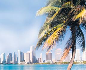 Sınır ötesi pişti!