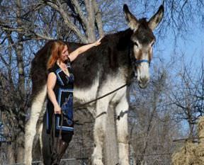 'Yok artık!' diyeceksiniz...