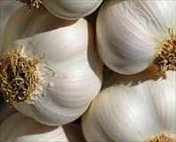 Bakterilere kokulu ölüm