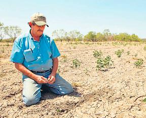 Çiftçinin derdi yağış