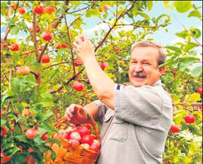Çiftçilere zarar desteği