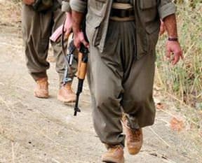 PKK’lılar 2 çobanı darp etti!
