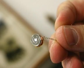 30 kişilik böcek çetesi