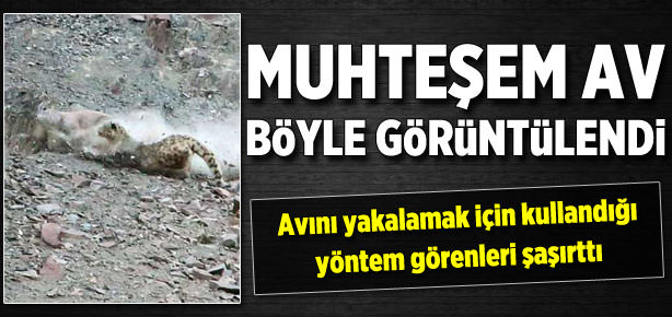Muhteşem av böyle görüntülendi