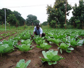 Türkiye Sudan'da 99 yıllığına arazi kiraladı