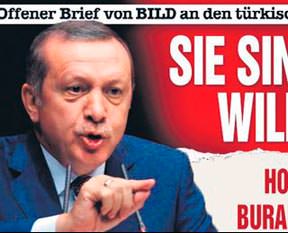 Alman terbiyesizliği