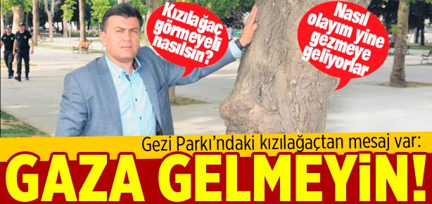 O ağacın altında