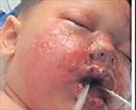 İşte Amerikan polisinin eseri