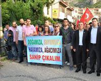 Halktan ağaç kesimine tepki!