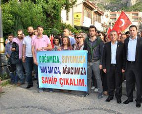 Halktan ağaç kesimine tepki!