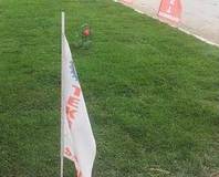 SÜTAŞ bir gecede çiçek açtı!