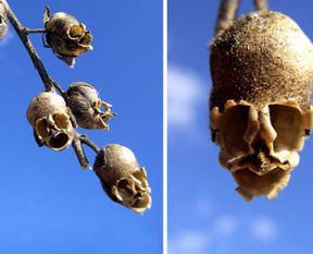 İnanmak mümkün değil!