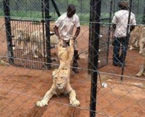 Paylaşım rekorları kırdılar!