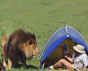 Ava giderken canlı canlı av oldu!