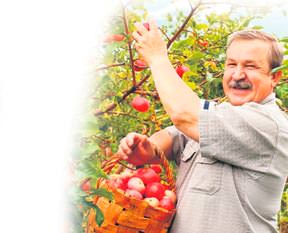 Torba nefes aldıracak