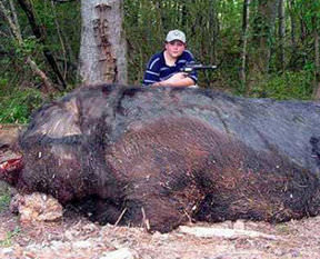 Dev canavarı böyle yere serdi!