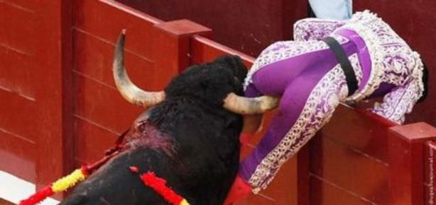 Matadora öyle bir şey yaptı ki...