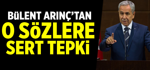 Arınç’tan önemli açıklamalar