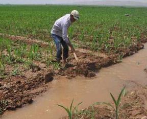 Tarla sulama kavgası: 15 yaralı