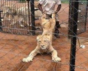 Yaptıklarına inanamayacaksınız!