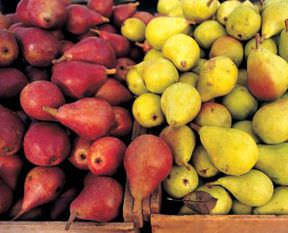 Bunları biliyor muydunuz?