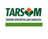 Yüzde 22 Oranında Artış