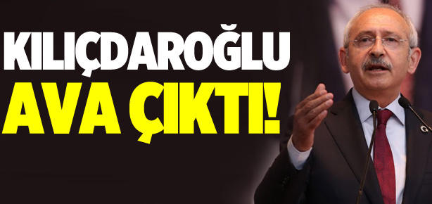 Delege avına devam