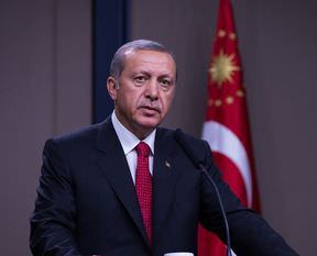 Erdoğan’dan Milli güreşçimize tebrik