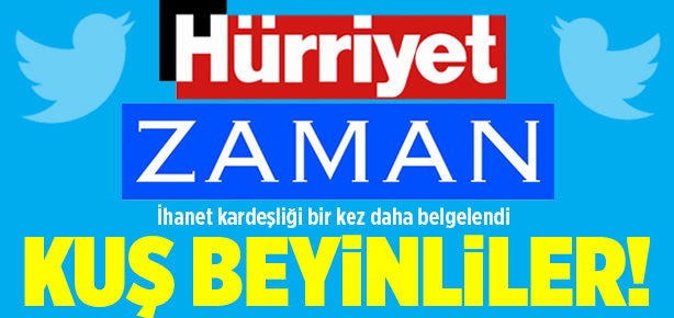 Kuş beyinliler