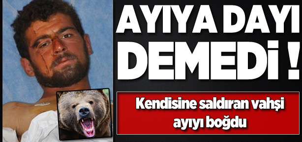 Ayıboğan